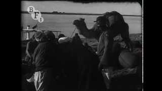 Tut-ankh Amen's Tomb (1923) | BFI