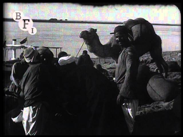 Tut-ankh Amen's Tomb (1923) | BFI