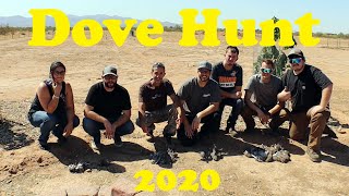 Desert Farm Vlog | Arizona Dove Hunt 2020