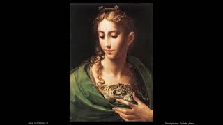 C S I  Brace Anime Fiammeggianti