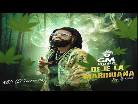 KBP El Terrorista - Dejé La Marihuana (Official Audio)