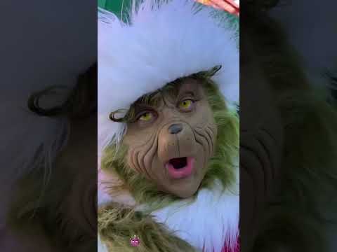Universal Studios Grinch fun moments🤣💕