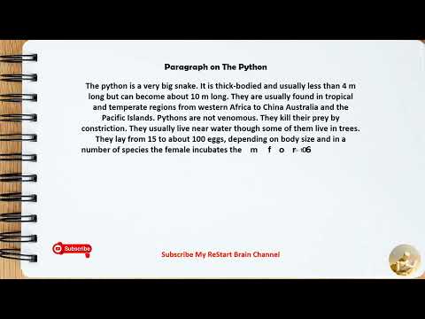 Paragraph On The Python