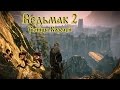 The Witcher 2 (Ведьмак 2: Убийцы Королей) Лилии и Змеи #35 