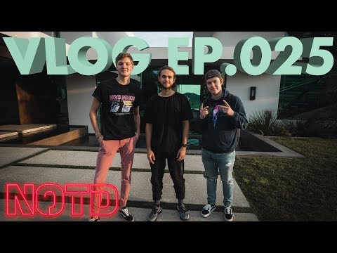 NOTD Meet Zedd (NOTD Vlog: Episode 025)