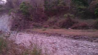 preview picture of video 'The sound of nature. Cheela Range. Raja Ji National Park. Haridwar'