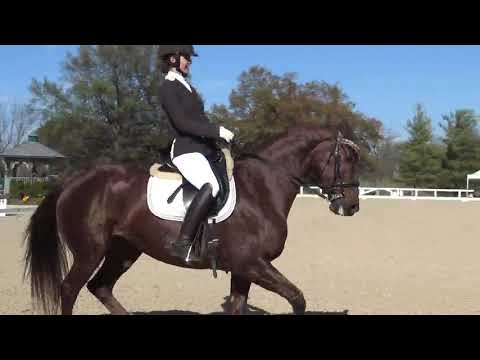 US Dressage Finals 2019 Fourth Level Open Freestyle Champions