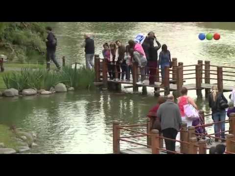 Aliados - Agenda Aliada - Peter lanzani