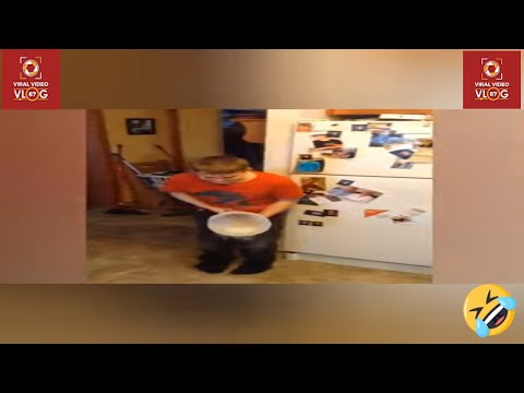 Try Not To Laugh or Grin While Watching Funny Kids Vines