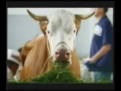 Birds Eye We don't play with your food Advert 2005