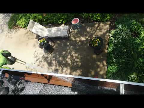 The Professionals Window & Eaves Cleaning Ltd video.