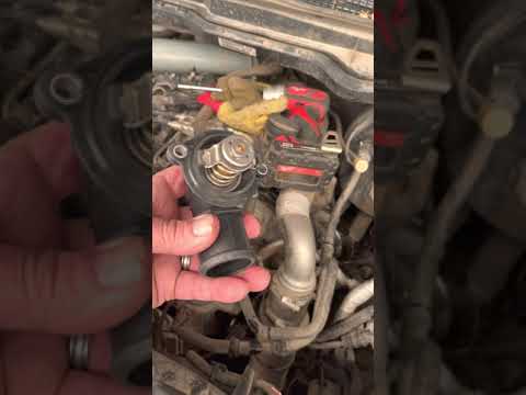 Ecodiesel thermostate