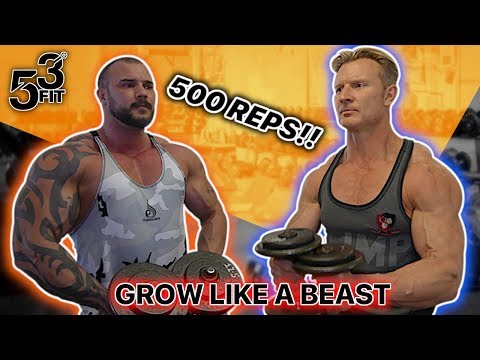 500 REPS!! Shoulders DESTROYED with STEVEN & JON | 53 DEGREES FIT | How to build MUSCLE MASS