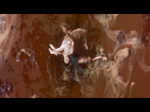 East Forest - Grounded (Official Music Video)