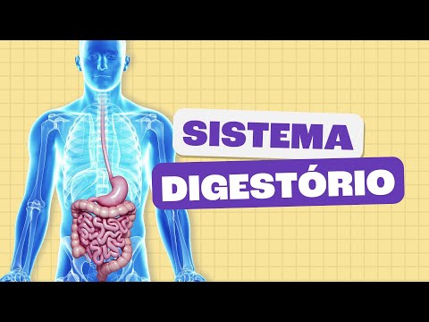 Sistema Digestório - Toda Matéria