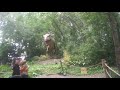Detroit Zoo Dinosaurs 6