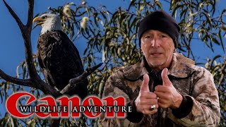 A few extra photos I have not used from my wildlife adventure, and I want to say thank you!!!