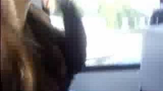 jenny in a car accident