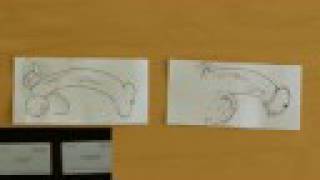 Hardly Working: American Psychos