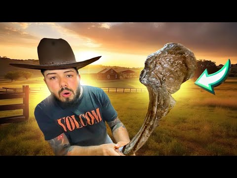 I HAD THE FIRST BARBECUE AT BLACK STONE FARM