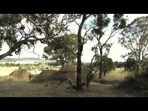 Andreu's Aussie Adventure