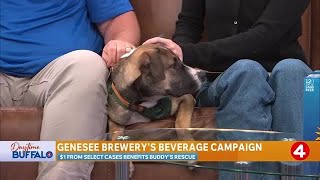 Daytime Buffalo: Genesee Brewery's campaign supporting Buddy's | Sponsored by Earthwise Pet