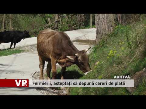 Fermierii, așteptați să depună cereri de plată