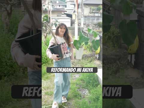 Reformando mi akiya 🏚️en Japón!