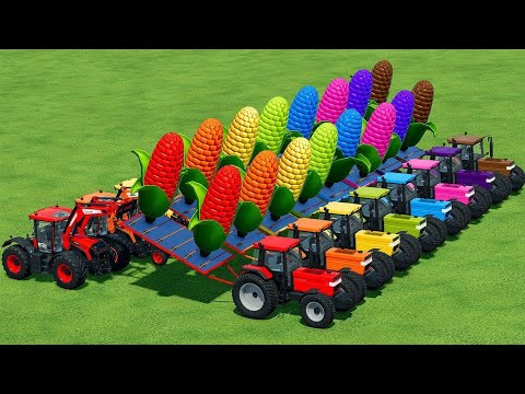 LOAD & TRANSPORT GIANT CORN WITH CASE AND JCB TRACTORS - Farming Simulator 22