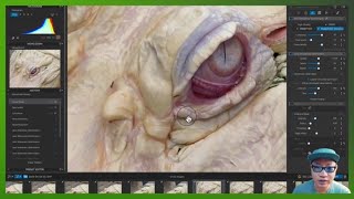 DxO PhotoLab 8 Review: Next-Level Photo Editing!