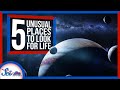 5 Unusual Places to Look for Life | Compilation 5 Unusual Places to Look for Life | Compilation