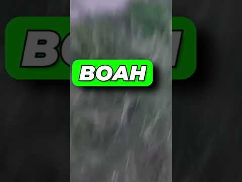 Neuer Angelspot = neue Gefahren 🐝 | Fails beim Angeln