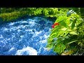 Sleep Study Or Focus With Water Sounds White Noise Relaxing River 10 Hours