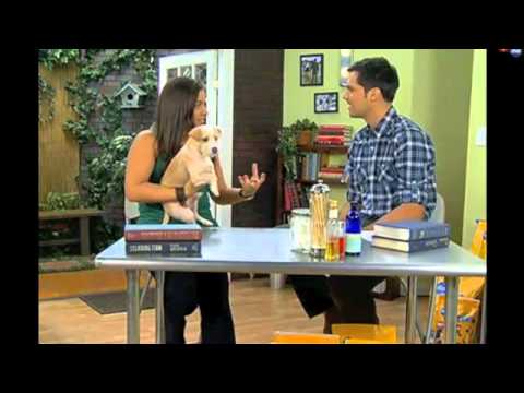 Mari Monge Holistic Healer/Sanadora Holistica