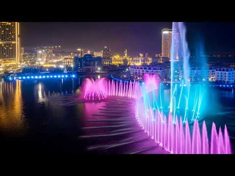 Video dự án 1