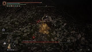 ELDEN RING　マレニアをほぼパリィだけで撃破