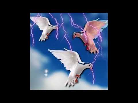 GALI222 - Forbidden Fruit Pt.1 w⁄ Inteus