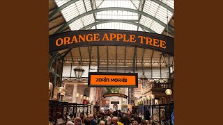 Orange Apple Tree Music Video