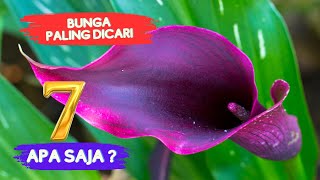 Download lagu Mengungkap 7 Jenis Bunga yang Paling Diminati mp3
