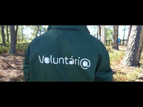 Jovens de Murça voltam a participar no "Voluntariado Jovem para a Natureza e Florestas"