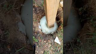 Fix Broken MailBox with Foam