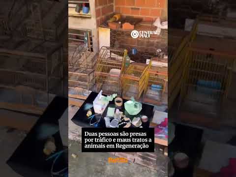 Duas pessoas são presas por tráfic0 e maus tratos a animais em Regeneração
