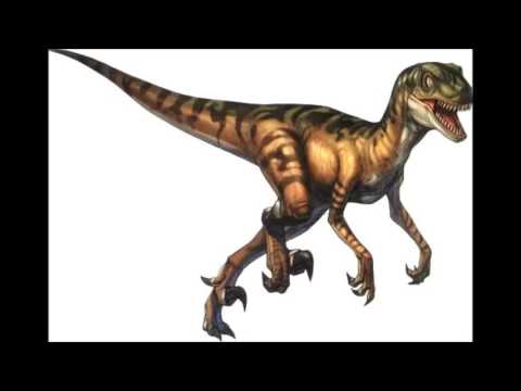 velociraptor tribute