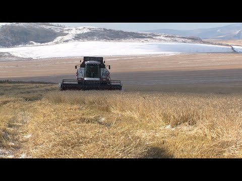 Урожай и экология стали главными темами на встрече в правительстве Хакасии