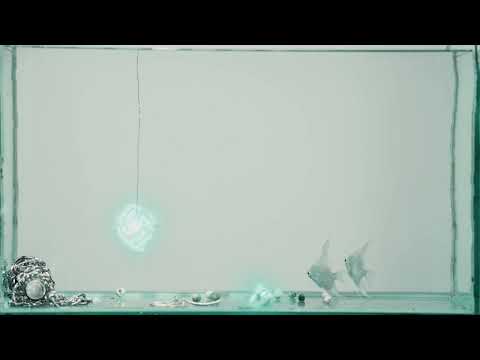 gyuris & grasa - Isten velem