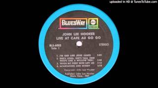 John Lee Hooker - She's Long, She's Tall (She Weeps Like A Willow Tree)
