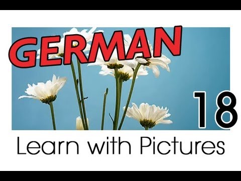 Learn German German Vegetable Vocabulary