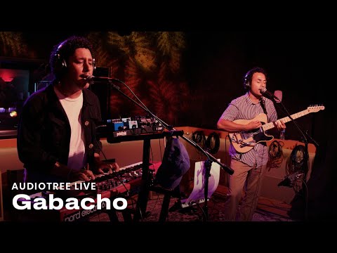 Gabacho - Los Feels | Audiotree Live