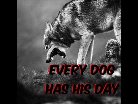 Every dog has his day