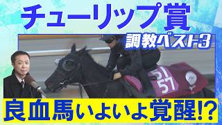 「活気がある！変わり身あり」アランカール、タイセイボーグ、ソルパッサーレ・・・競馬エイト・高橋賢司トラックマンの調教解説＜チューリップ賞(ＧⅡ)＞